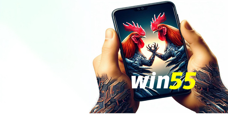 Trải nghiệm trận đấu trên App Win55